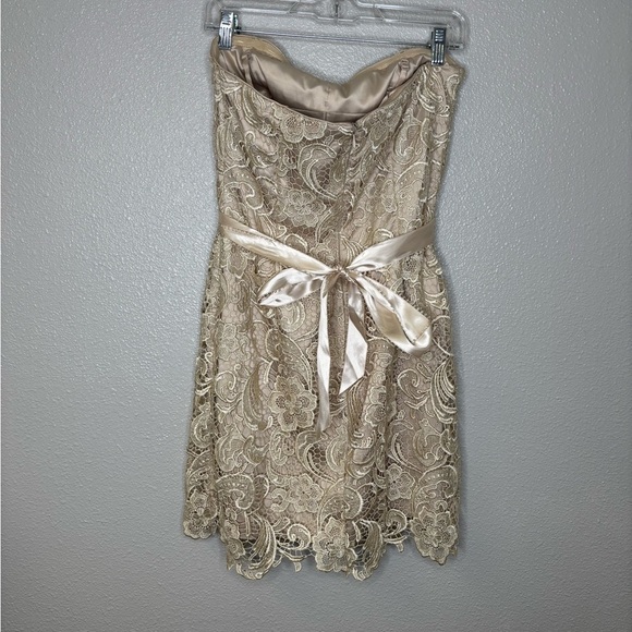 Adrianna Papell Strapless Lace Sheath Dress Champagne Size 10 - Picture 5 of 10